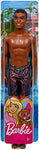 Barbie DWK07 Boy Beach Doll, Multi-Colour