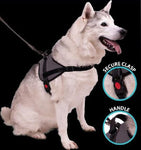 Padded Reflective Harness for Medium and Large Dogs (Black, Medium)